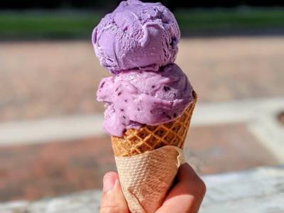 Greenery Creamery