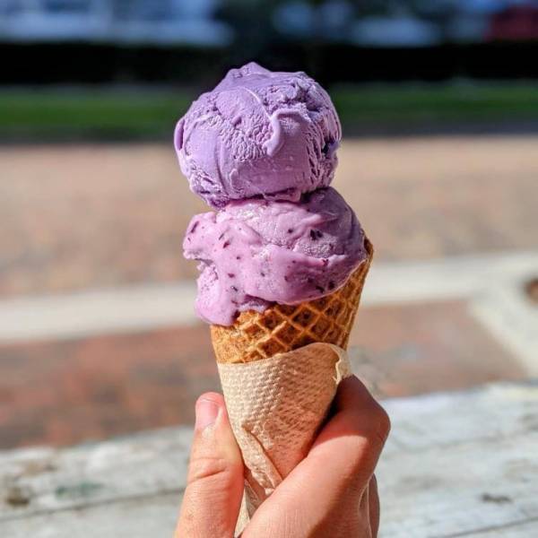 Greenery Creamery