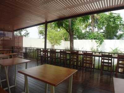 Kina Kind Cuisine