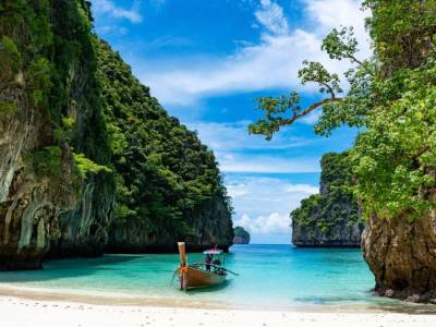 A boa in Loh Samah Bay in Phi Phi Island, Thailand.