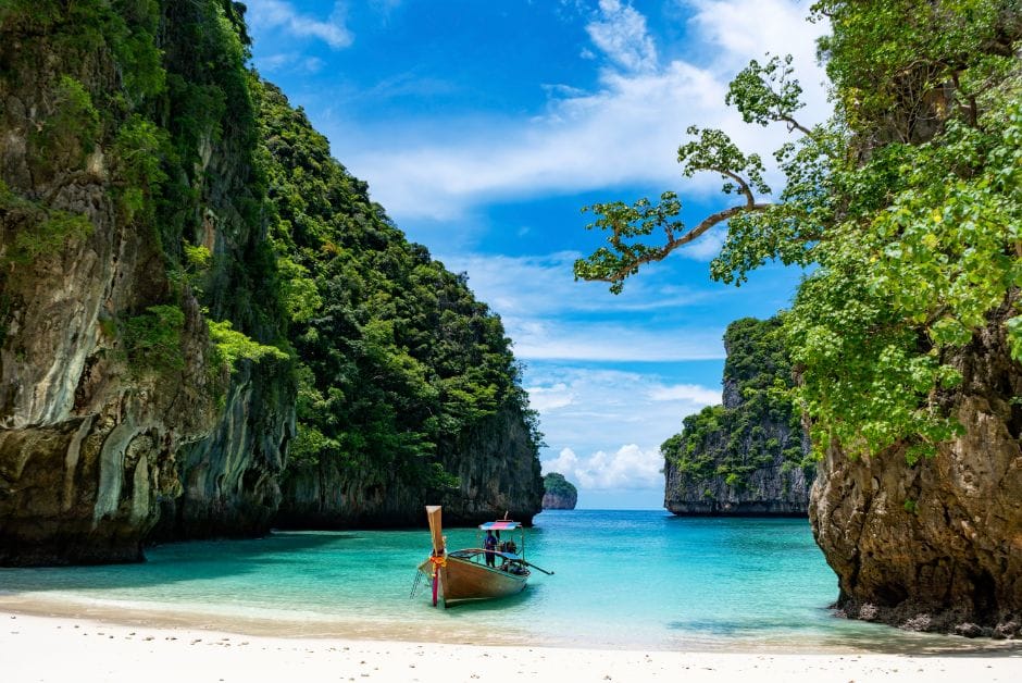 A boa in Loh Samah Bay in Phi Phi Island, Thailand.