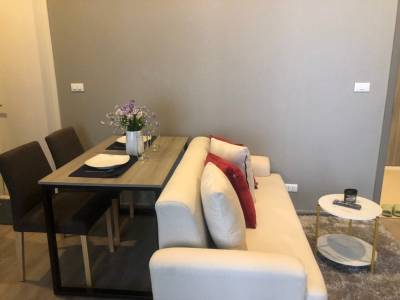 KnightsBridge Kaset Society