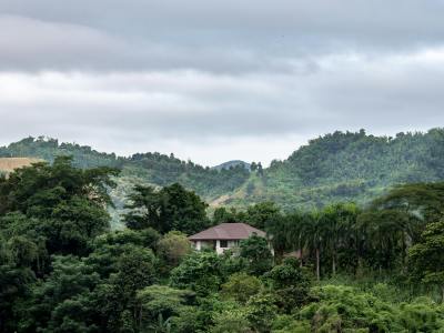 House in the forest in Chiang Rai, Thailand.