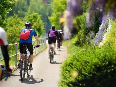 Cyclists cycling along a leafy cycle lane on a sunny day.