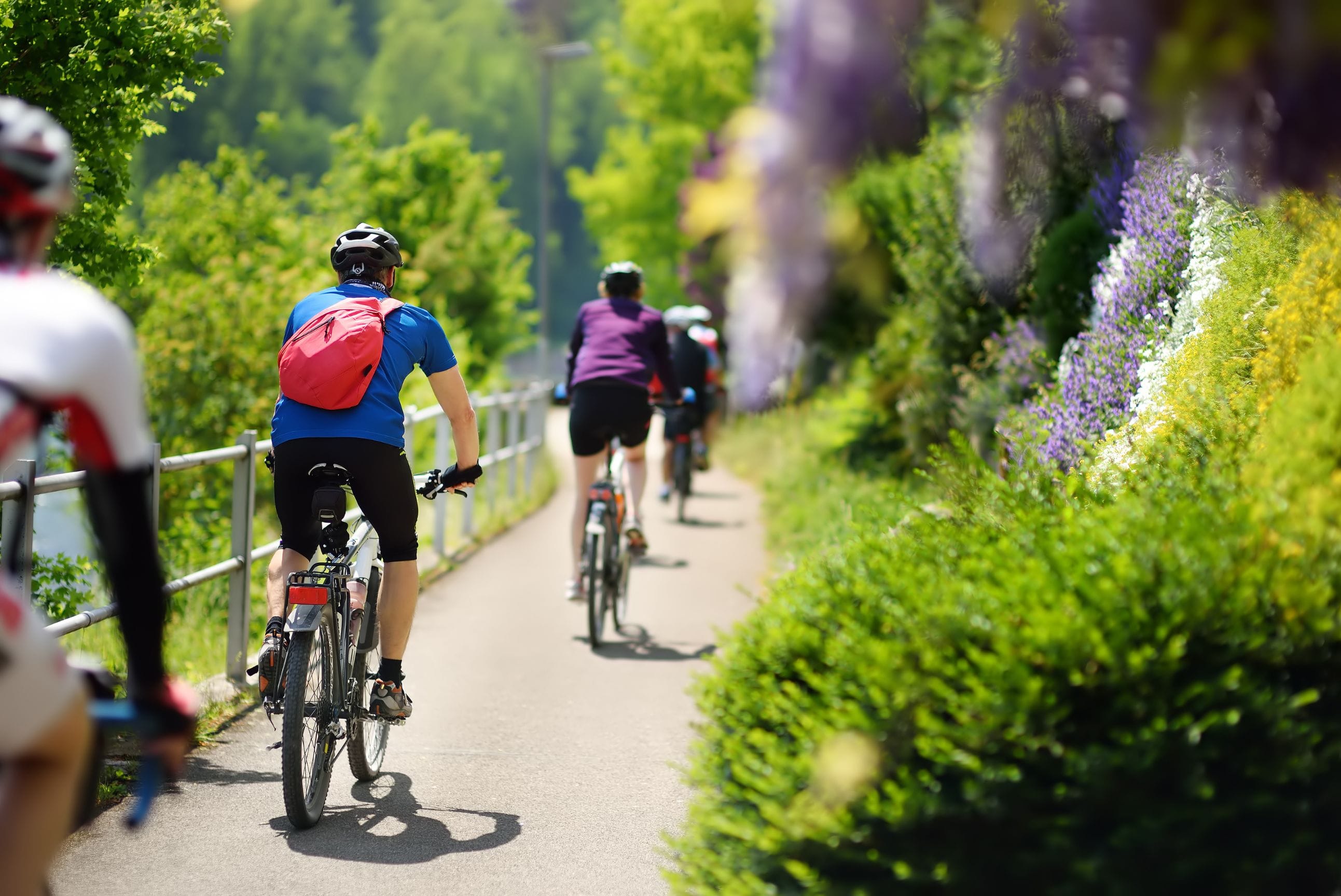 Cyclists cycling along a leafy cycle lane on a sunny day.