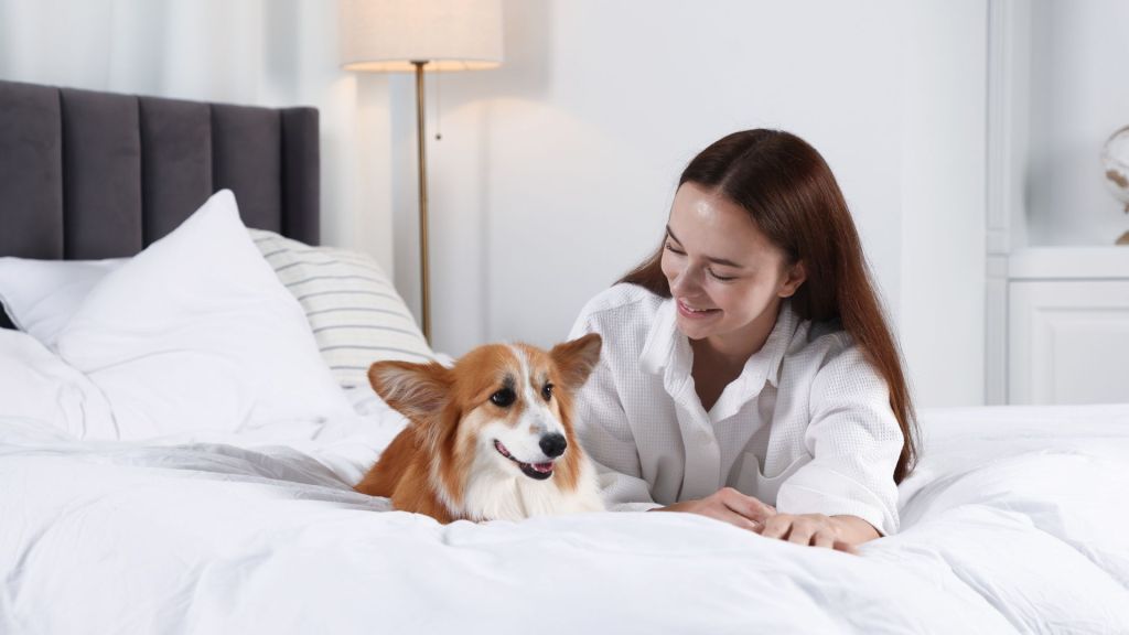 A woman is on a bed with her dog in a pet-friendly hotel room.