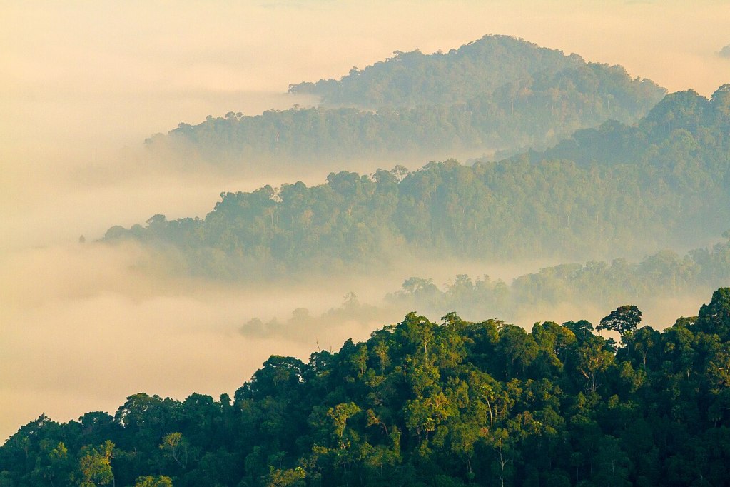 Mist over Kaeng Krachan National Park.