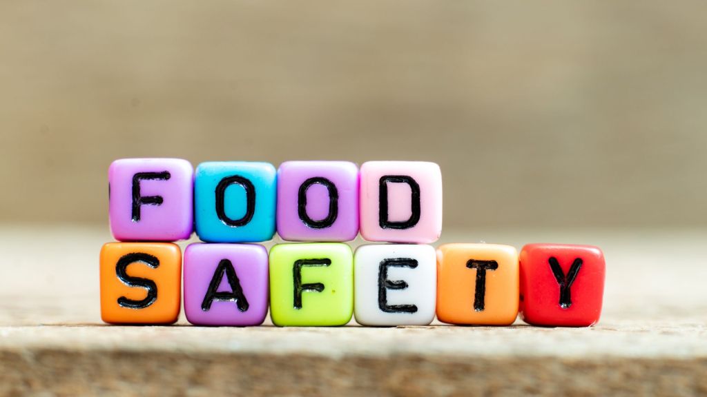 Miniature coloured building blocks spell out the words 'FOOD SAFETY'.