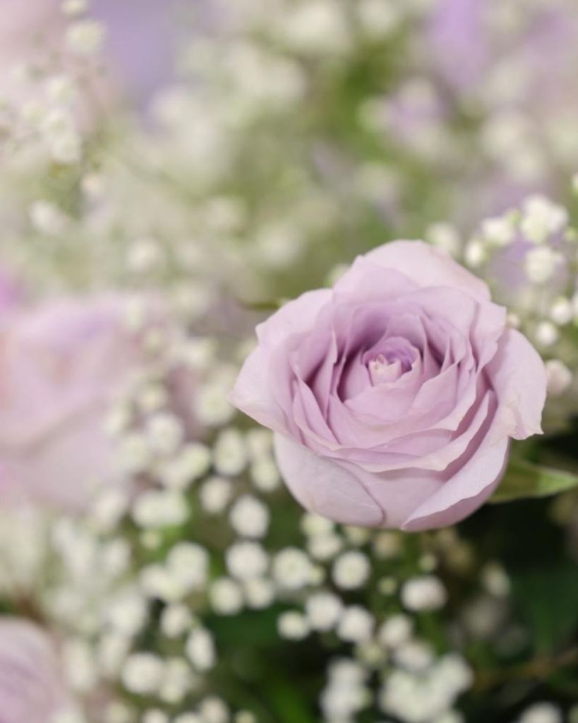 Queen Suthida Rose.