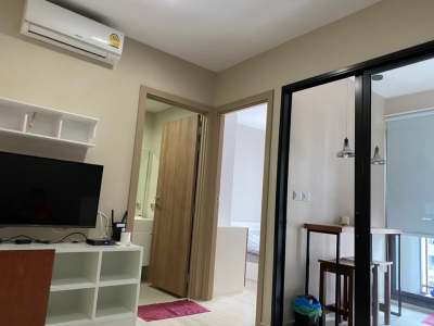 Condolette Midst Rama 9
